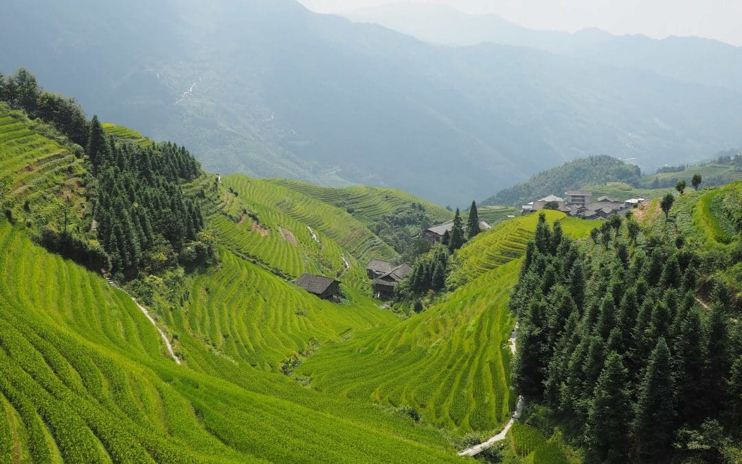 Les rizières de Longji : coup de cœur de mon voyage en Chine