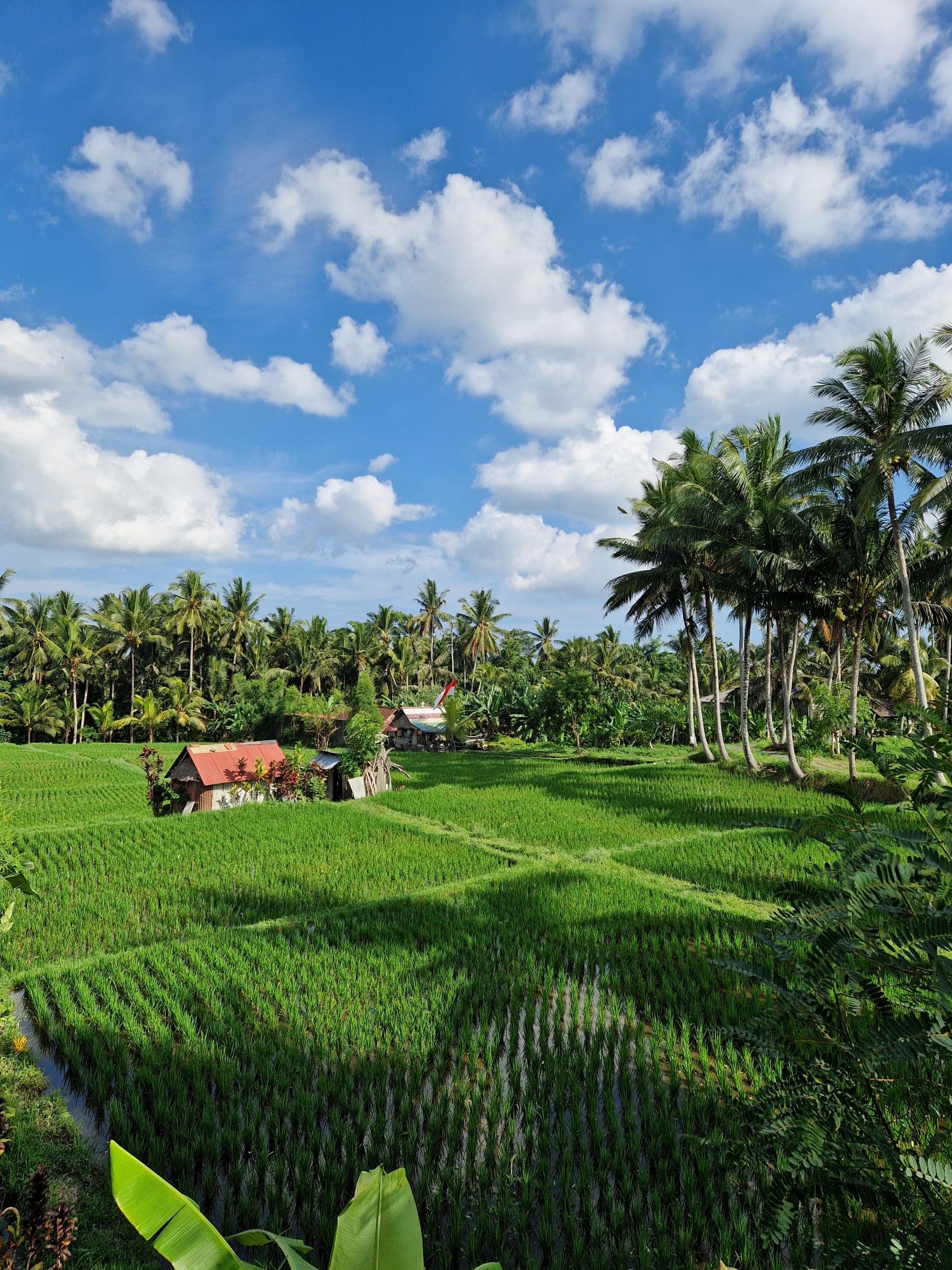ubud