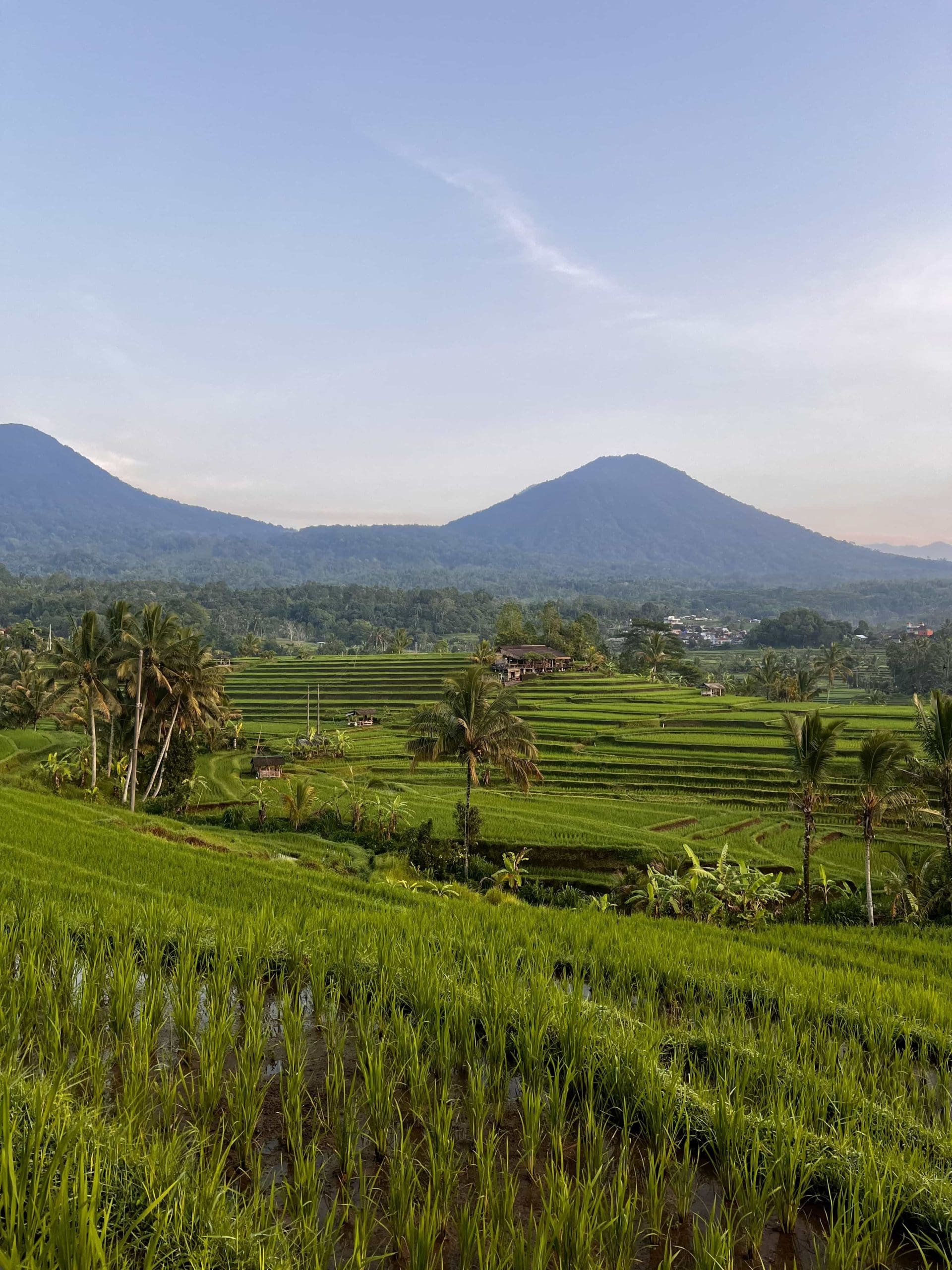 ubud à bali