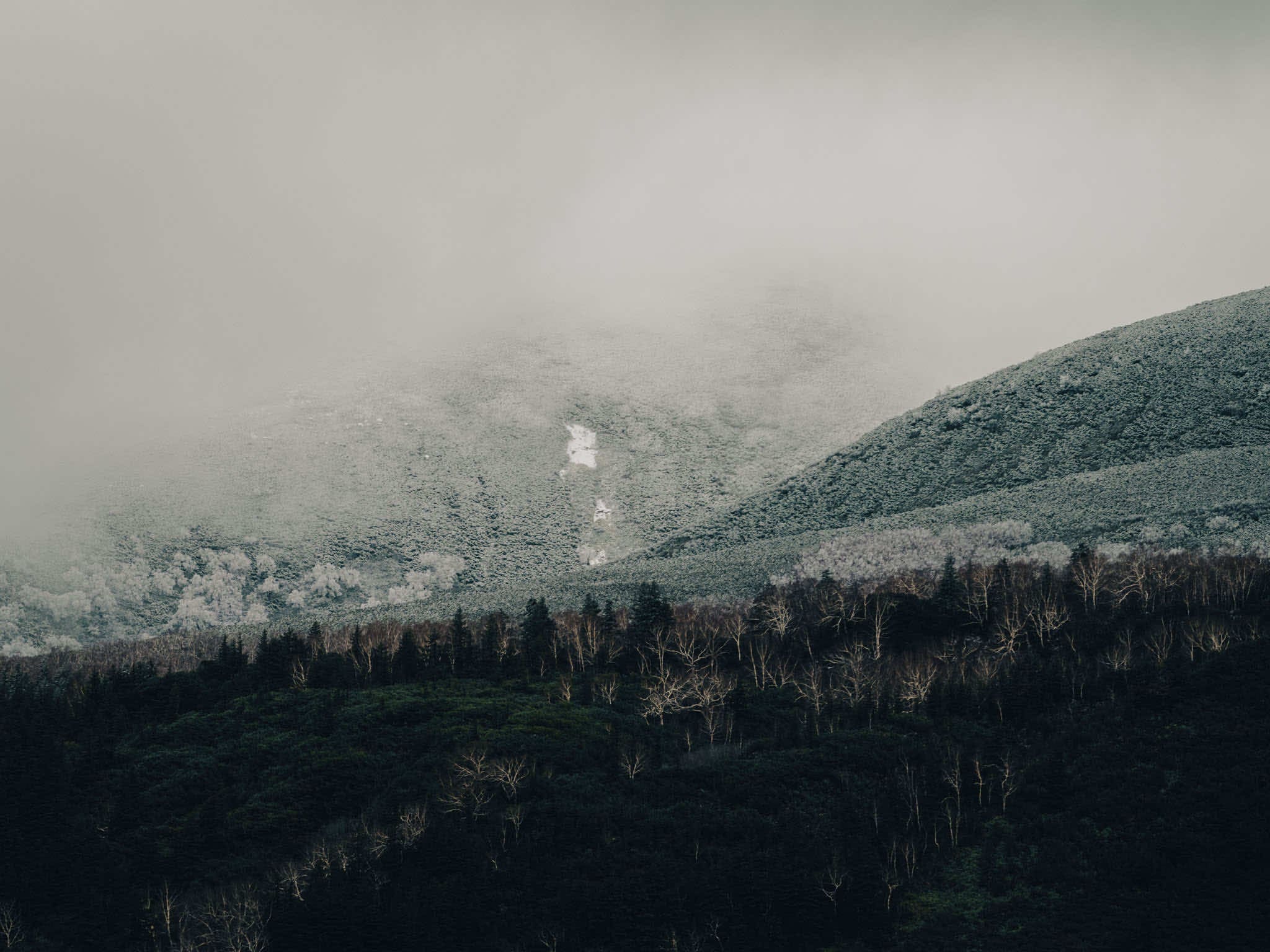 hokkaido
